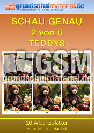 Teddys.pdf